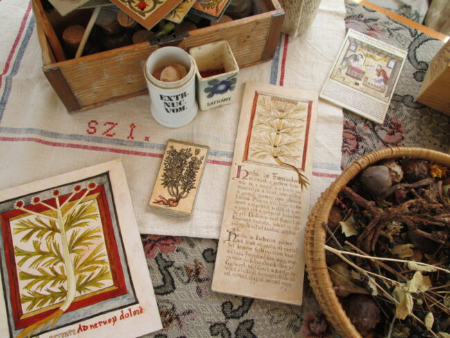 KemendiAgnesfelvetele