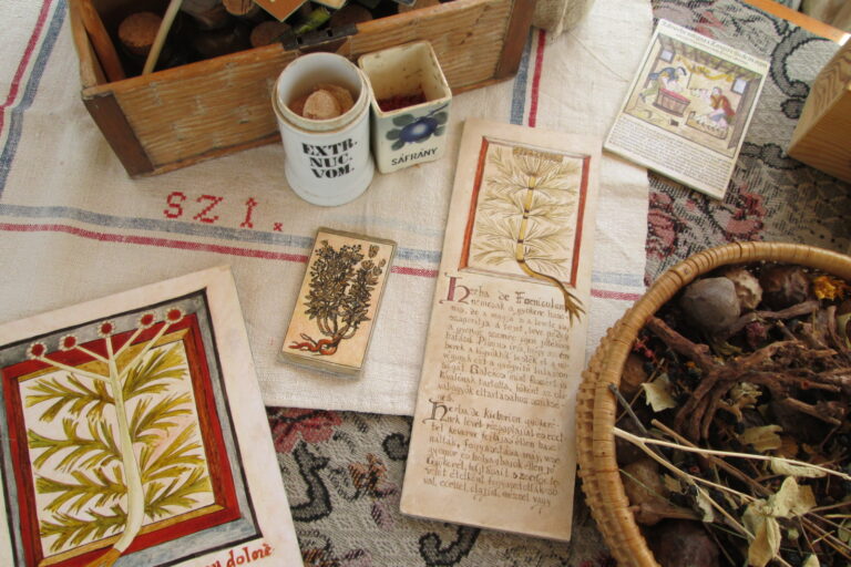 KemendiAgnesfelvetele