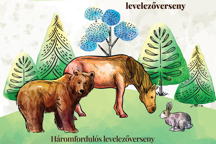 kep-hirdeteshez_hagyomanyokos2024ősz