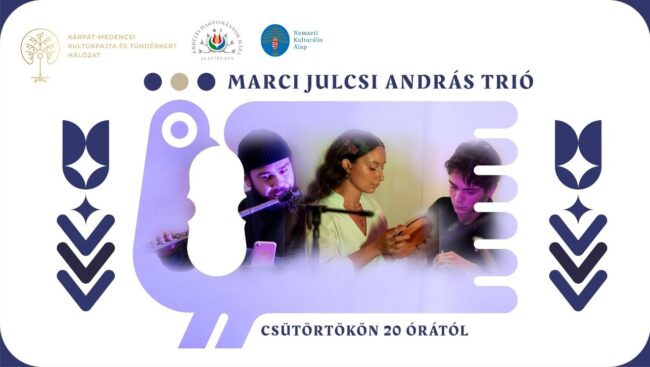 zengo_ter_trio_koncert