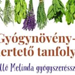 Gyógynövény-ismertető tanfolyam