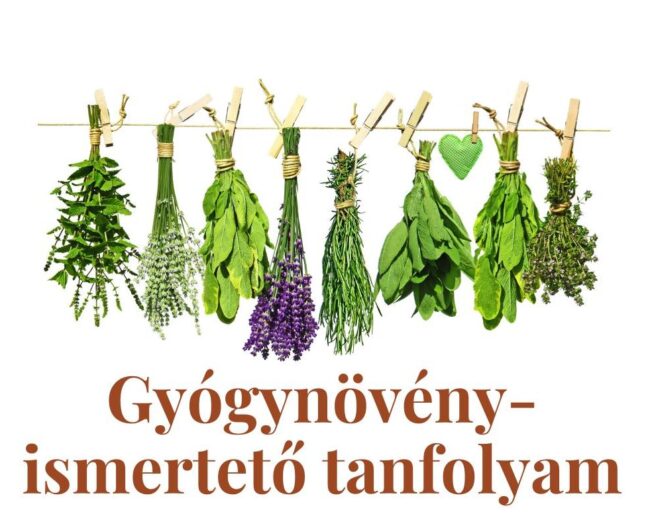 gyogynoveny_tanfolyam