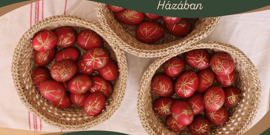 485015782_1085000296998352_799928181283463665_n