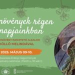 Gyógynövények régen és napjainkban