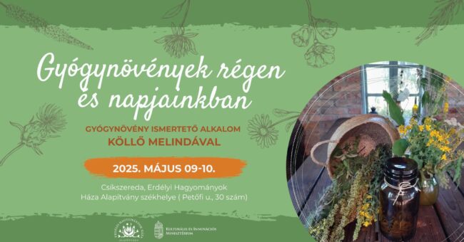 492962150_1117647423733639_8592063361344918921_n