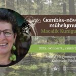 Gombás-növényes műhelymunka Macalik Kunigundával